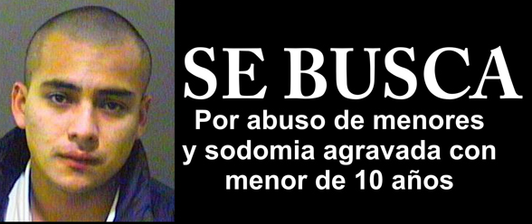 sebusca1