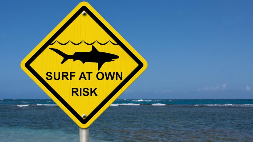  ¡Cuidado, tiburones!