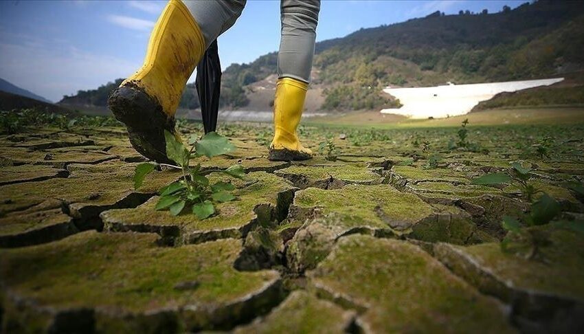  Triunfos ambientales en boletas estatales impulsan acción climática local